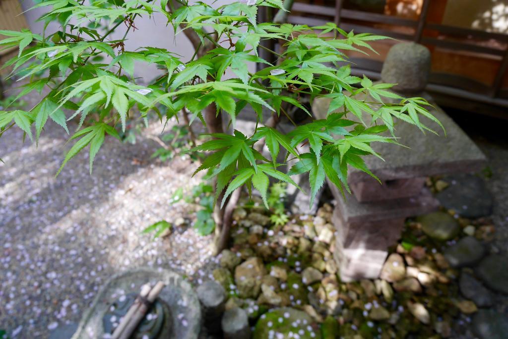 100 Years Old Traditional Kyoto Machiya Townhouse - K'S Villa Exterior photo